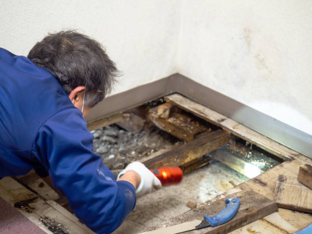 Crawl Space Mold Removal in Kearney, NE