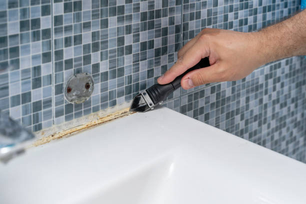 Best Mold Testing and Removal  in Keary, NE